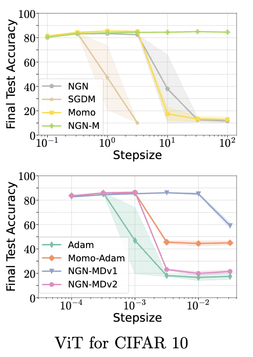 Placeholder figure for Enhancing Optimizer Stability: Momentum Adaptation of The NGN Step-size